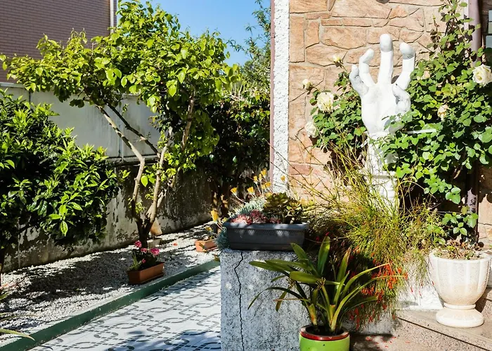 Live, Laugh, Guest With Ac Madalena (Vila Nova de Gaia)