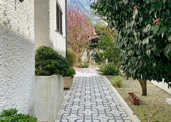 Apartment Live, Laugh, Guest With Ac *